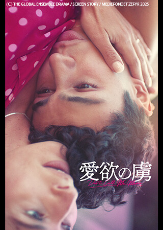 愛欲の虜（字幕）
