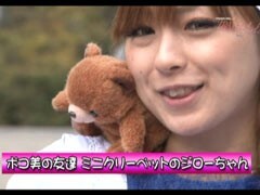 #12 TRAVEL GIRLS/CRA大海物語2Withｱｸﾞﾈｽ･ﾗﾑSAA