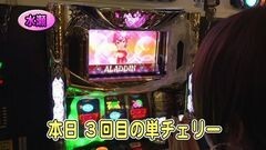 #258 パチバト｢20ｼｰｽﾞﾝ｣/ハーデス/パチスロ アラジンAII