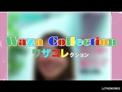 Waza Collection　〜ワザコレクション〜